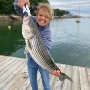 Fundraising Page: Tammy Sawyer